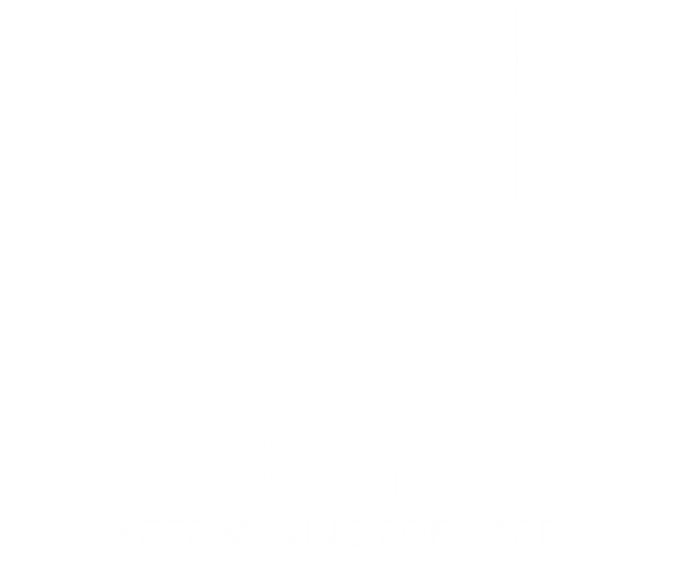 BLACK TEAM Logo